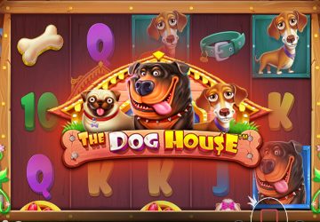 Игра The Dog House в Shuffle Casino